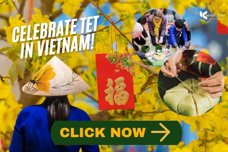 vietnam tours