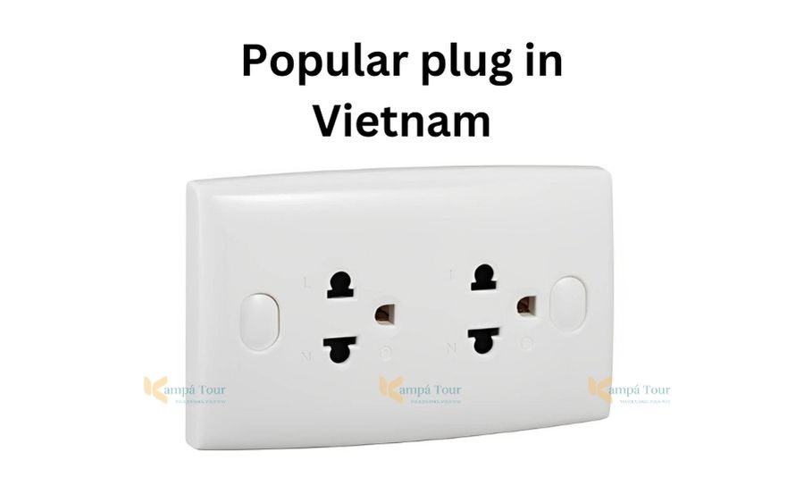 plug in vietnam