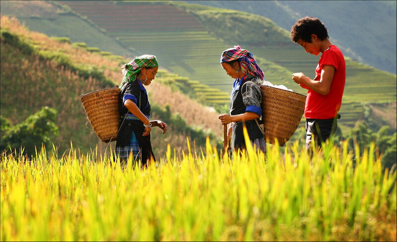 hanoi cao bang