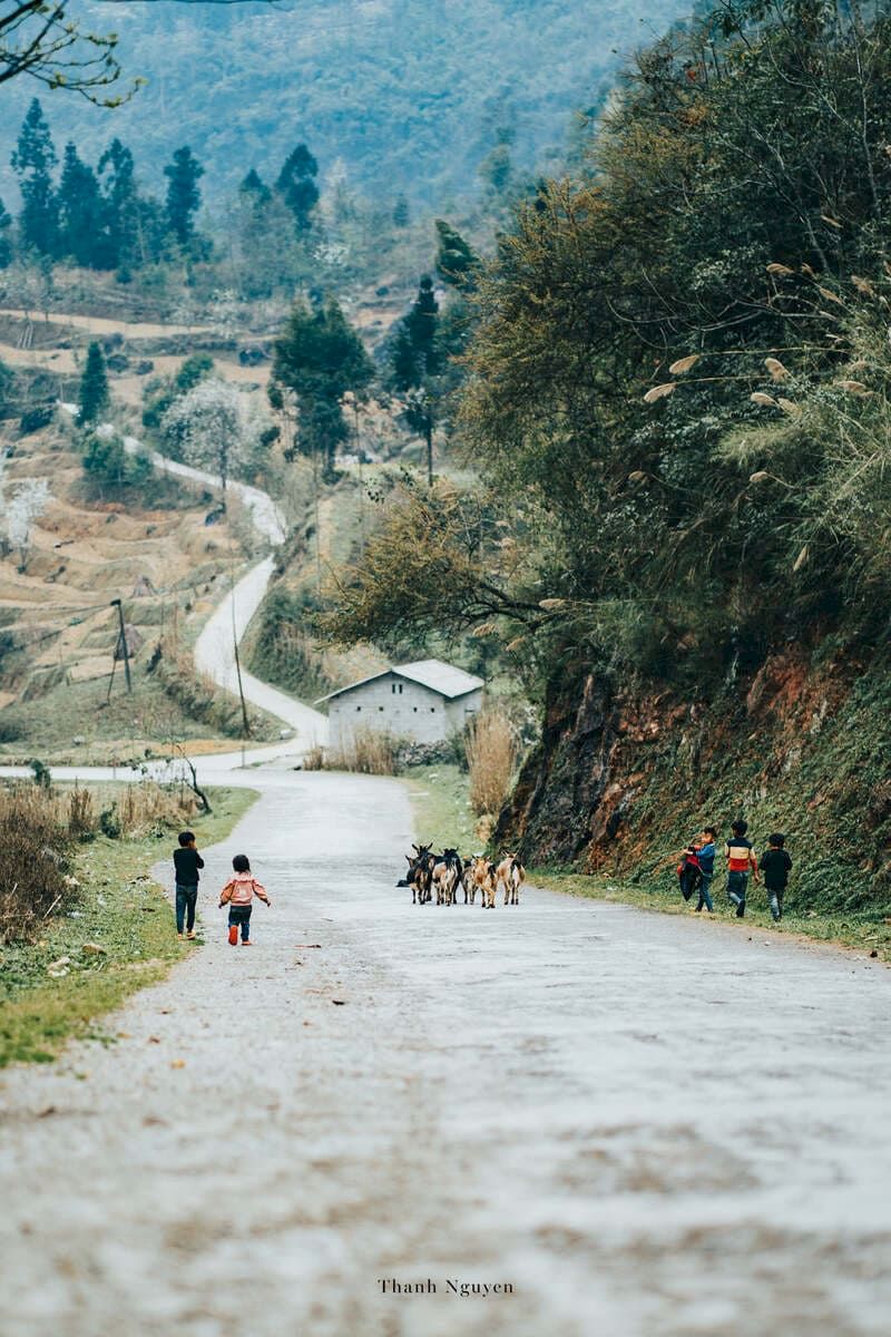 En el camino que conduce a la Puerta del Cielo de Quan Ba. Foto: Thanh Nguyen