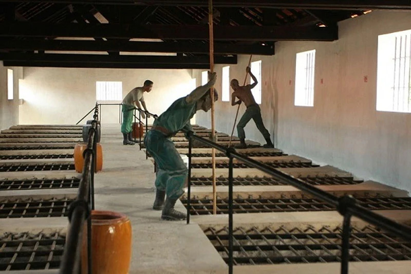 The 'tiger cage' in Con Dao prison