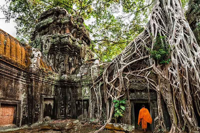The Ta Prohm temple in the Angkor Wat complex, Siem Reap