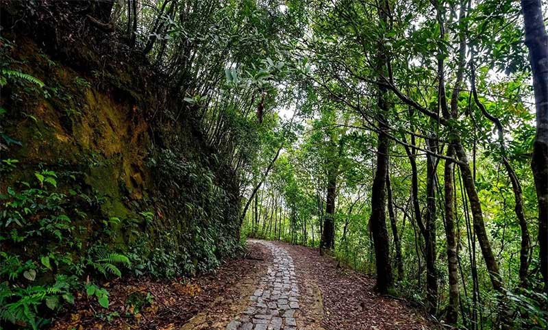 parque nacional de bach ma en hue vietnam