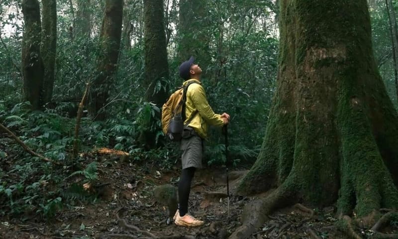 vietnam rain season