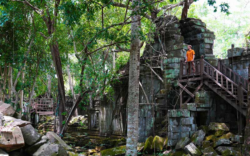 cambodia lush vegetation in august