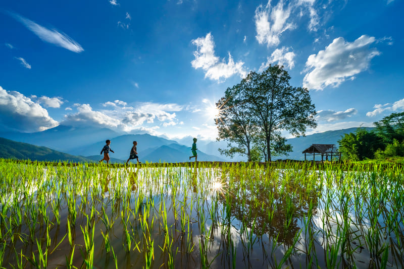 A particularly photogenic spectacle awaits you in April