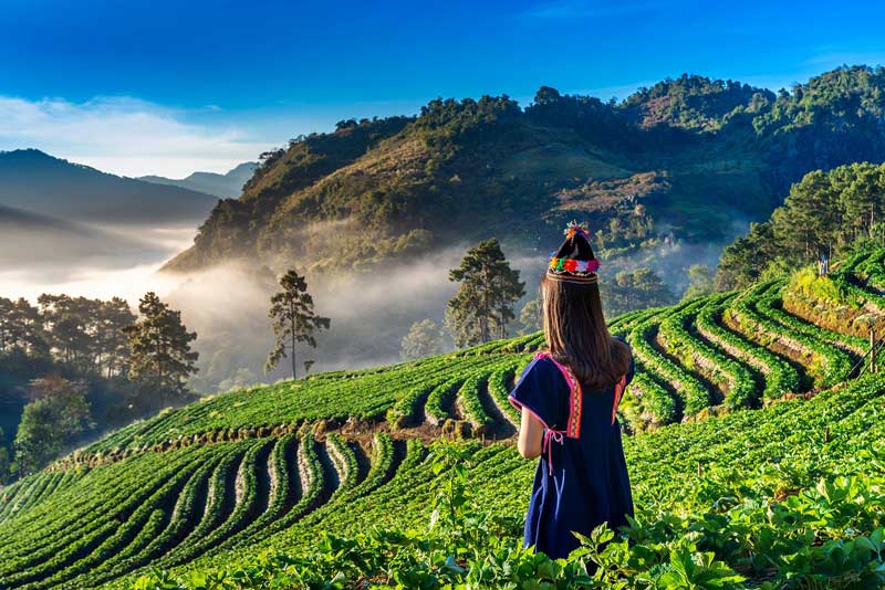 chiang mai