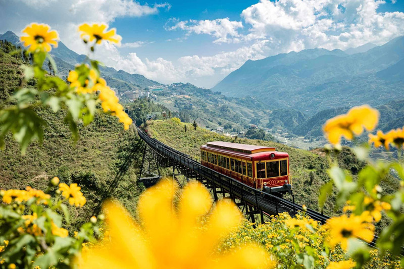 muong hoa train