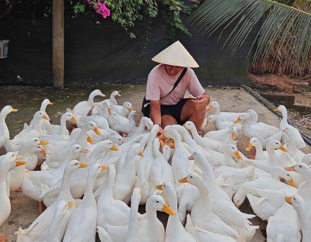 phong nha duck stop leader
