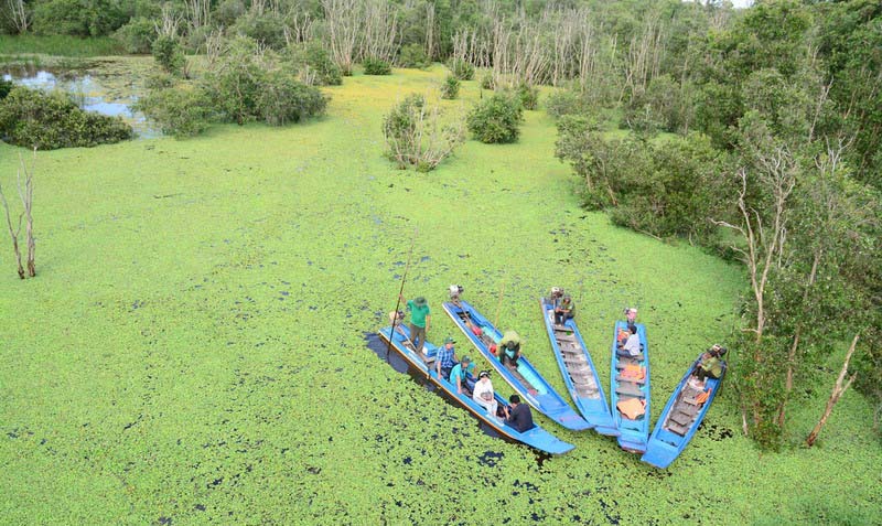 parque nacional Tram Chim