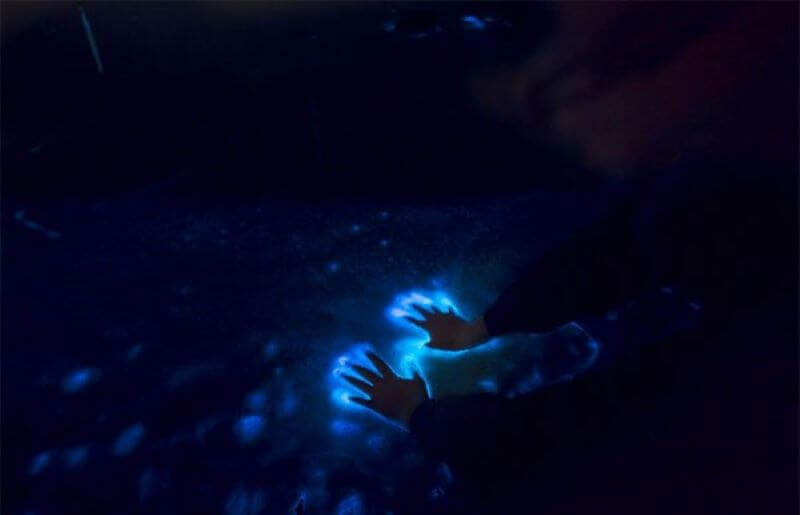 touch your hands in bioluminescent plankton in cat ba
