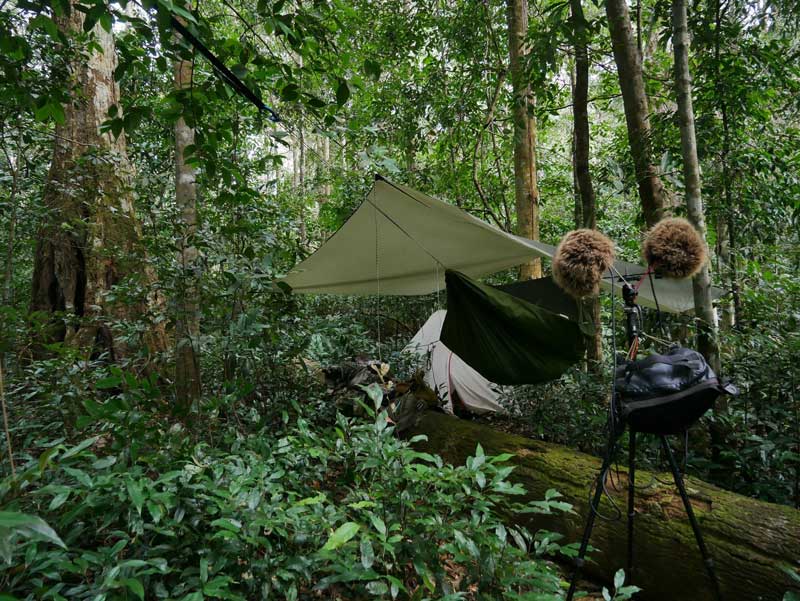 Camping in the Cardamom Mountains