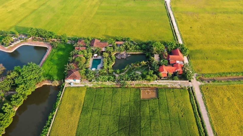 Chez Cao Rice Field Ecolodge Ninh Binh