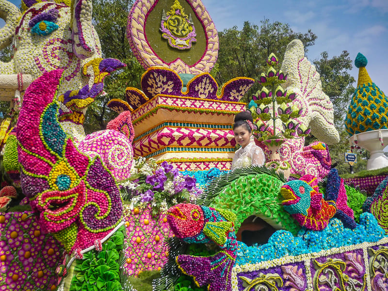Chiang mai flower festivals