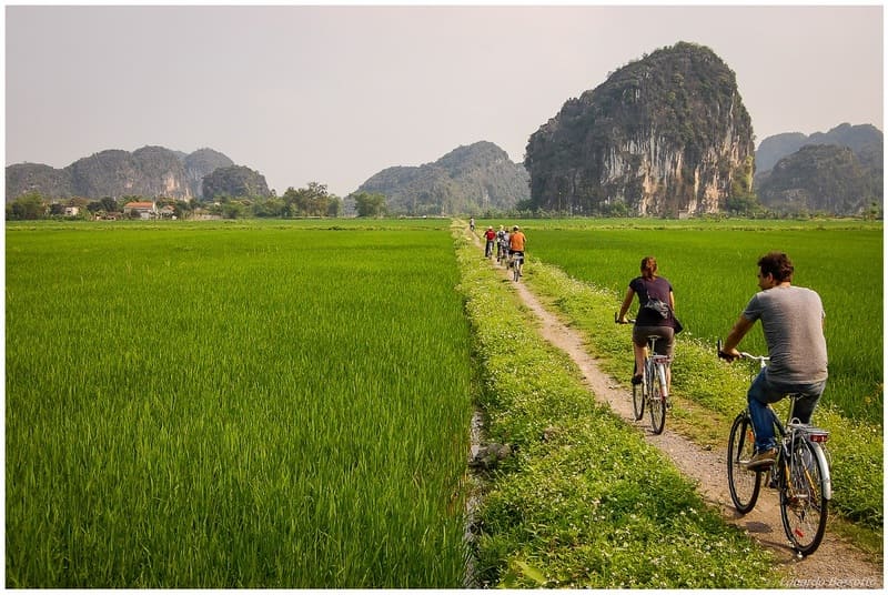 Cycling around the rice fields of Halong Bay on land