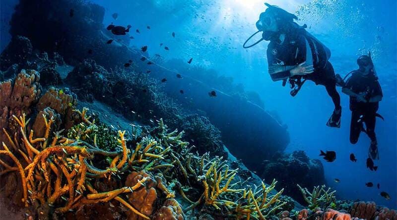 Diving in Thailand