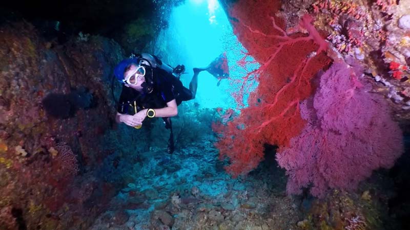 diving in similan islands