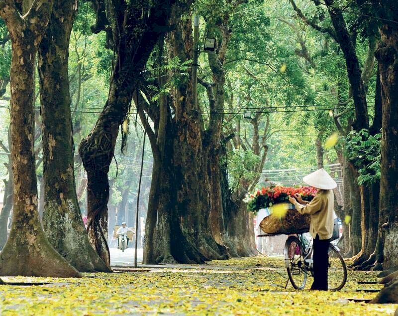 El otoño en la capital de Hanói