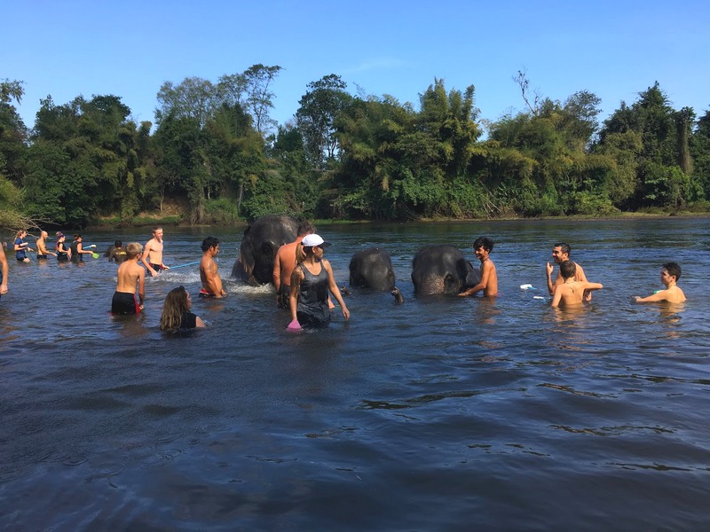 donde ver elefantes en tailandia
