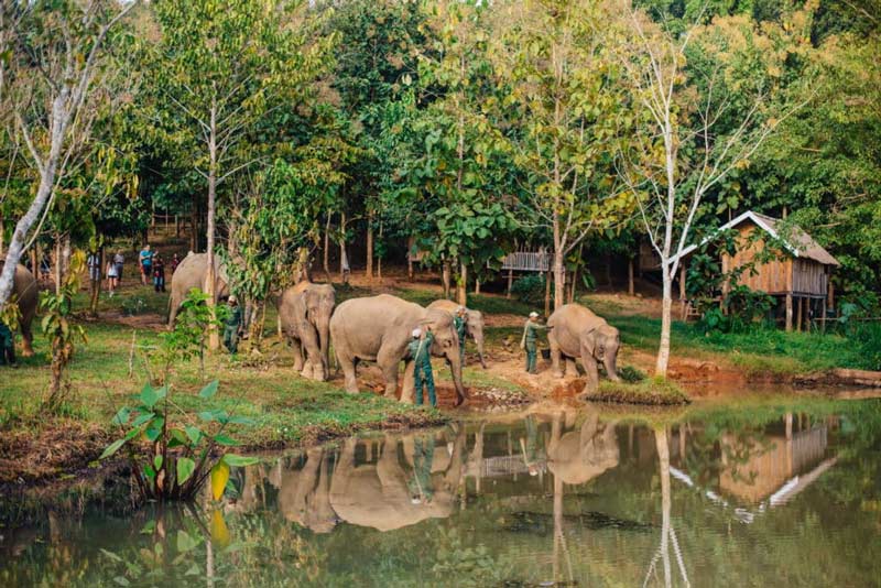 Elephant Conservation Center of Laos