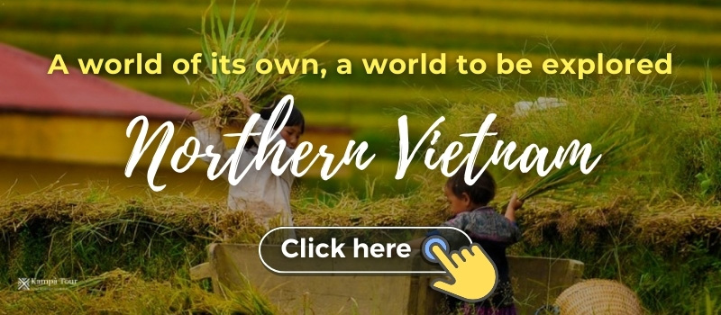 northern vietnam tours