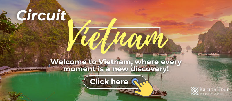 Best vietnam Tours