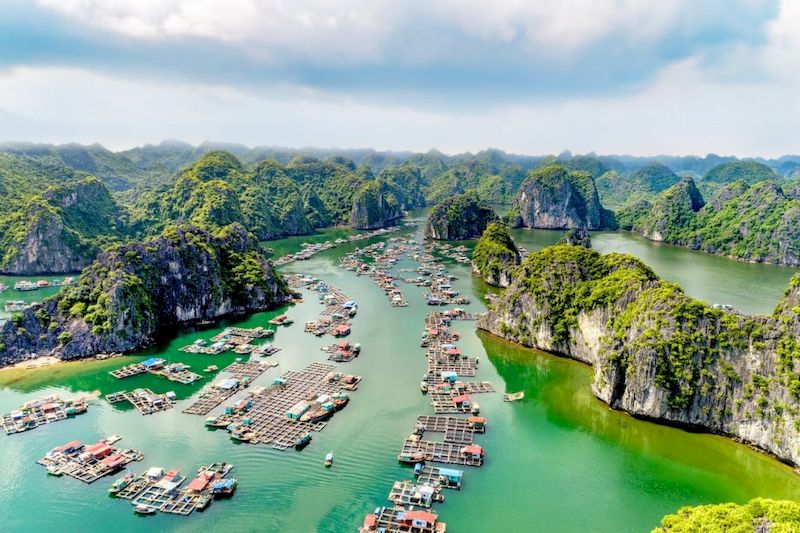 a Cruise in Lan Ha Bay