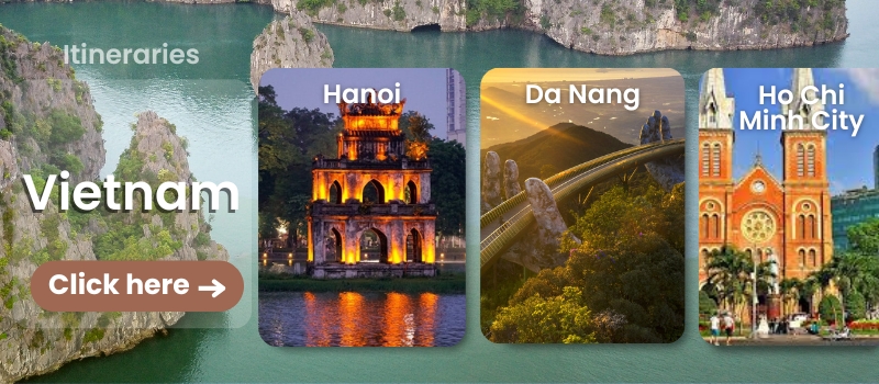 vietnam tours