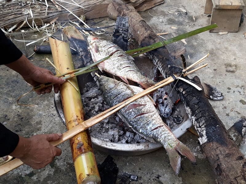 Fresh stream fish are grilled