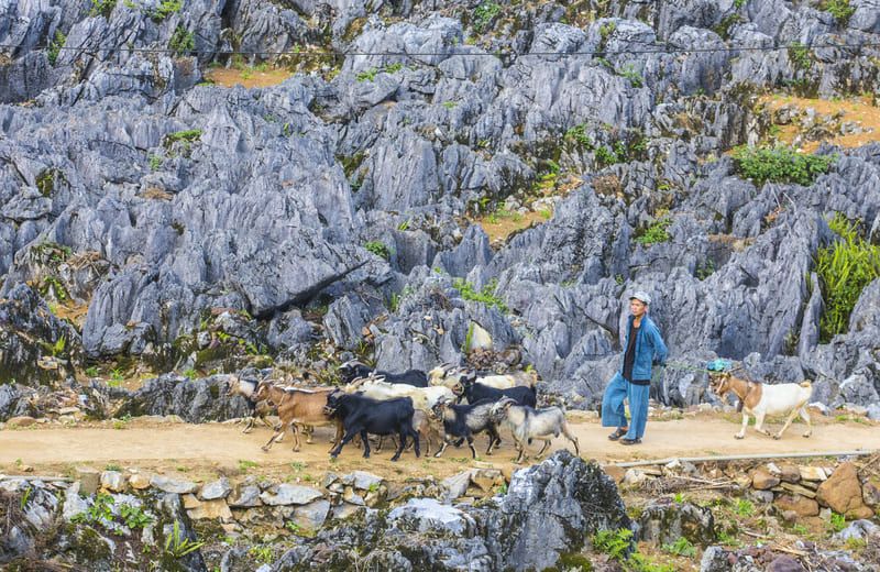 Geoparque Dong Van ha giang