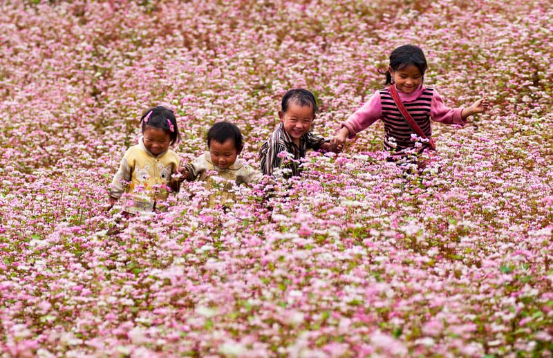 ha giang en octubre