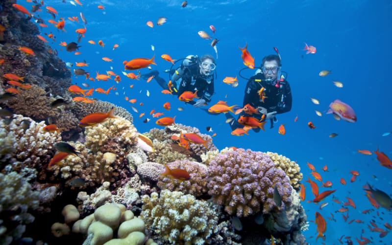 hon doi moi reefs