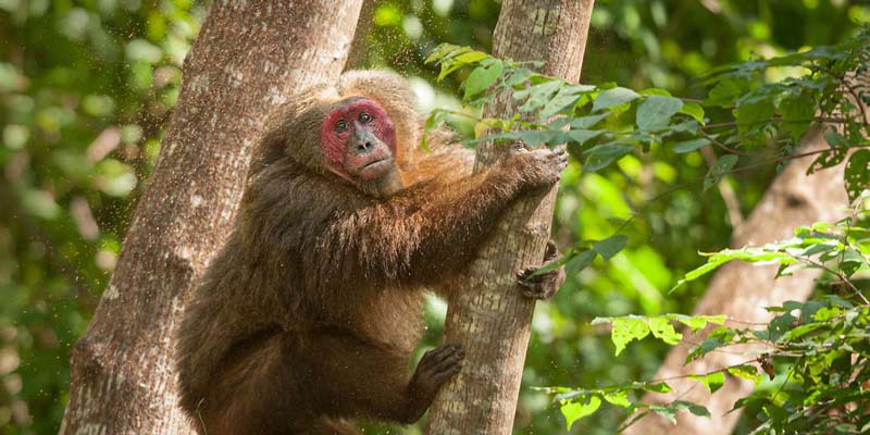 Kaeng Krachan National Park