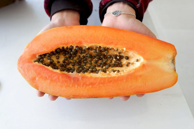 La papaya es una fruta extremadamente saludable 