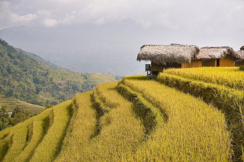 vietnam en octubre