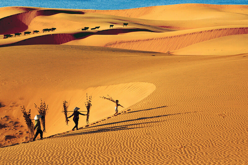 mui ne vietnam