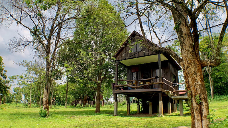 The Nature Lodge offers independent bungalows