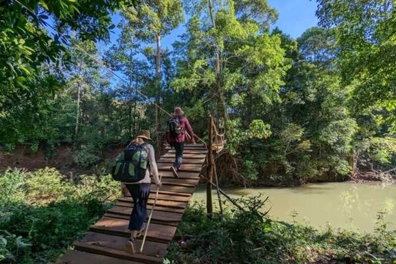 Hiking in the forest