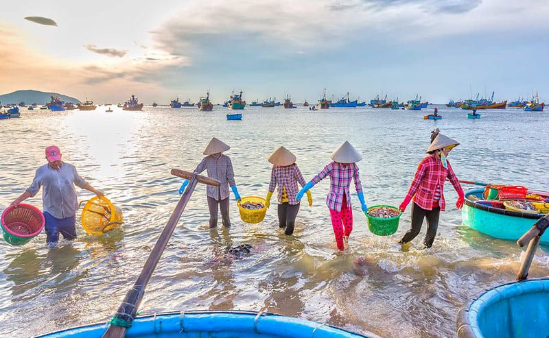 pesqueros vietnamitas