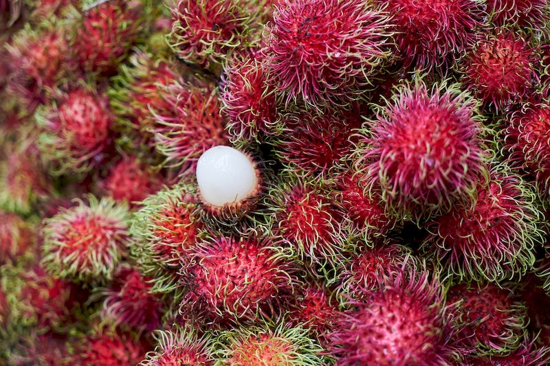 No deben comer cáscara de rambután porque es muy venenosa 