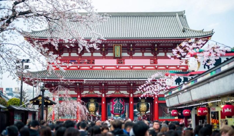 Lively New Year Atmosphere in Japan