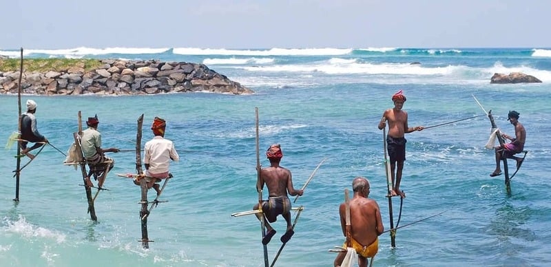 On the coasts of Sri Lanka