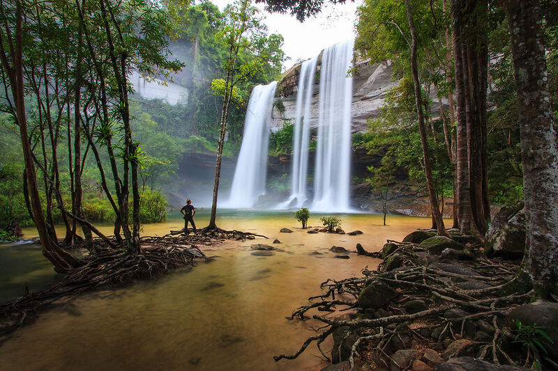 Parque Nacional Phu Chong-Na Yoi