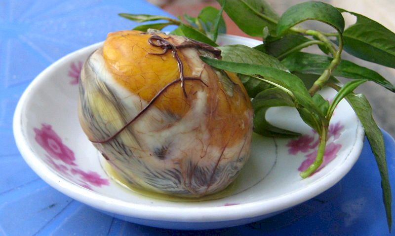 Pong tia koon 