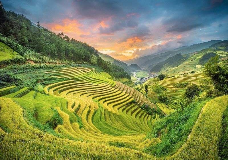 Rice terraces in northern Vietnam