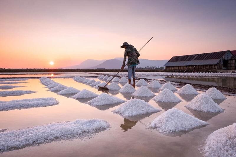 Salt fields in Kampot