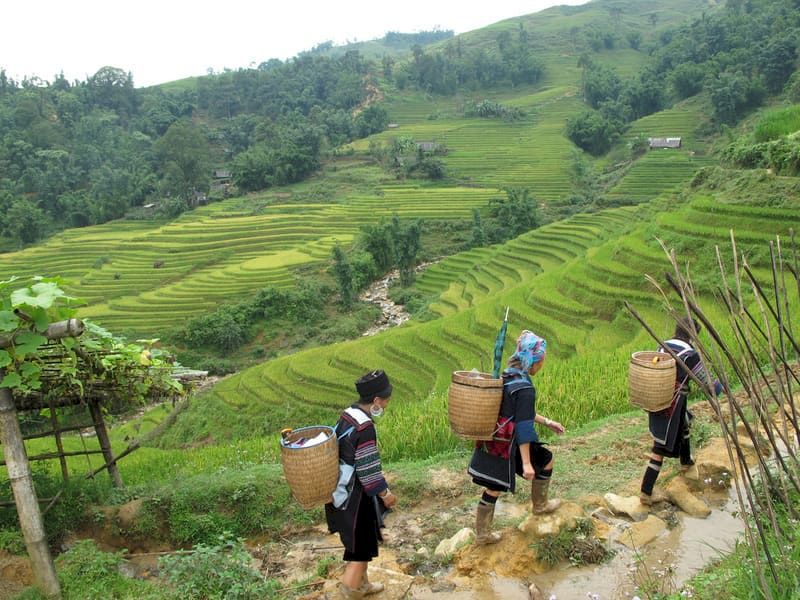 paisaje de sapa y bac ha