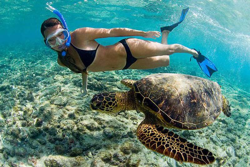 snorkeling in similan thailand