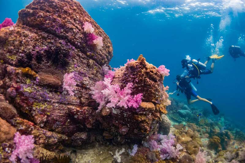 Snorkeling