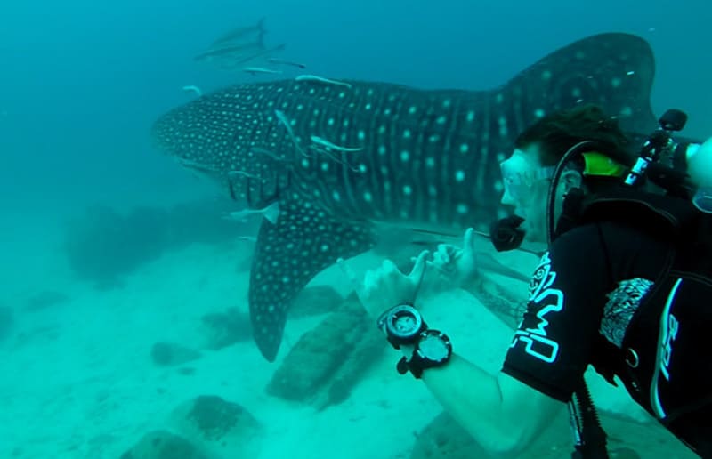 Scuba Diving at Sunset Beach